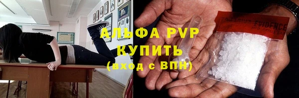 гидра Зеленокумск