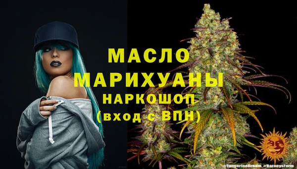 гидра Зеленокумск
