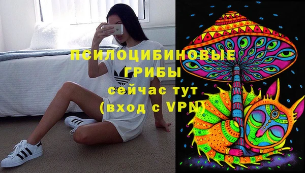 гидра Зеленокумск