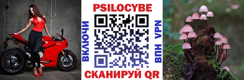 Псилоцибиновые грибы прущие грибы мориарти какой сайт Нефтекамск купить закладку